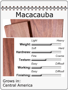 central america macacauba