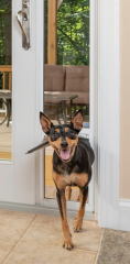 Slider Pet Door