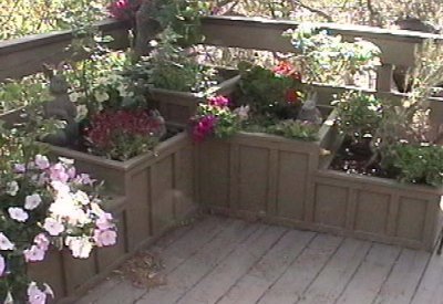 Planter 1
