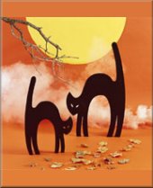 Scaredy Cats Plans