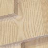 Ash Sample