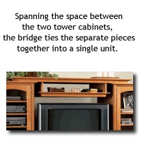 Entertainment Center Bridge and Shelf